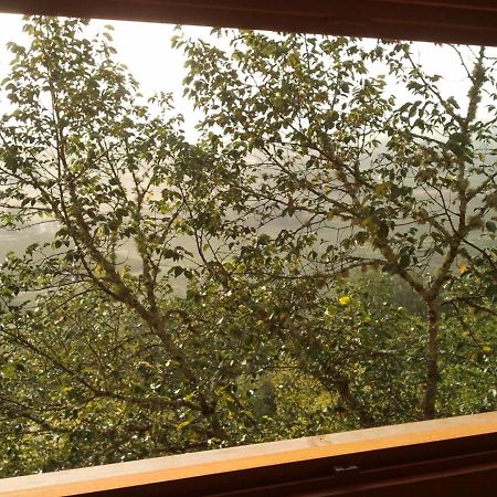 Saint-Antoine-de-Breuilh Nuits Perchees A Laroque B&B 외부 사진